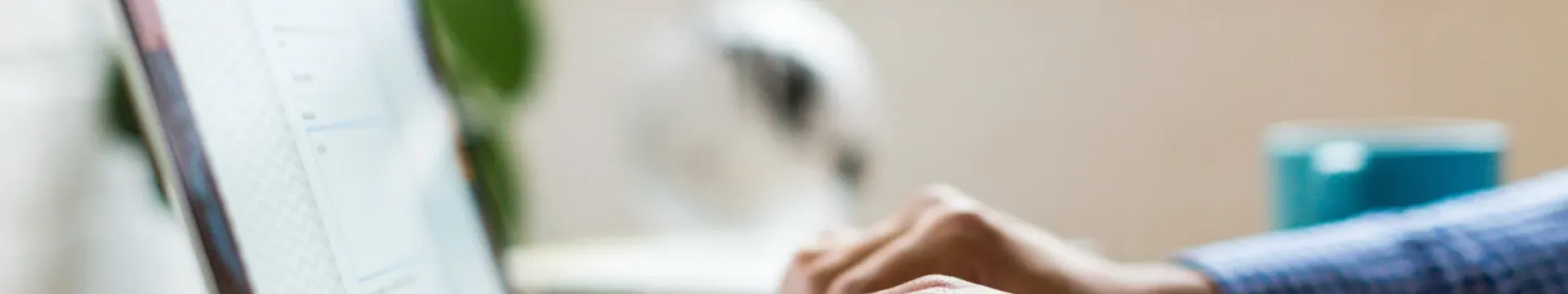 Posicionamento Digital